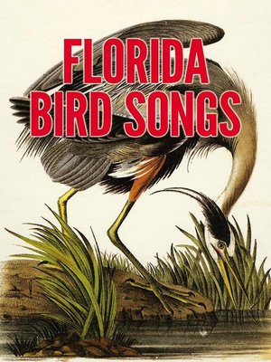 cover image of Florida Bird Songs